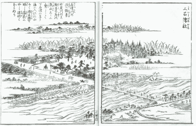 和泉名所図会、石津川の晒